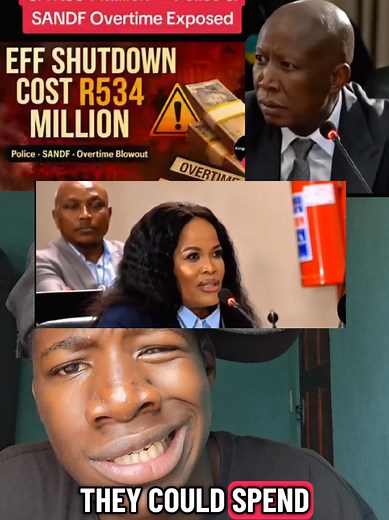 she said they spent R365 million on a national shutdown security for safety on march in one day #eff #shutdown #nationalshutdown2023 #southafrica #exposed