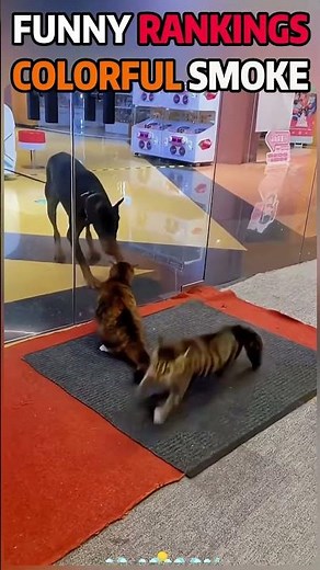 #reactionvideo #reactions #omg #wtf #unexpected #no_way#respectmoment #respectpost #kindness