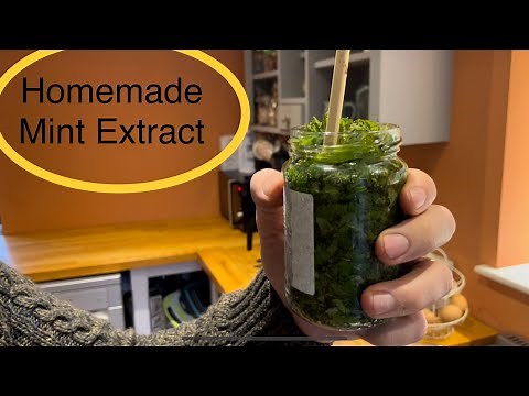 Making herb extracts - mint tincture