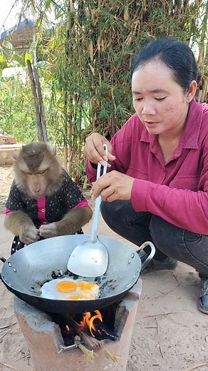 11K views · 148 reactions | Best Video Of Monkey SokYaa, To To And Family Are Amazing #Reels #reelsfypシ #Dog #reelschallenge #sokyya #ImageSEOTrends #FunnySokYaa #IQ #viral #MeganFox #kyliejenner #trending #viral #reels #game #sports #quiz #quizinstagram | Monkey Anita | Facebook