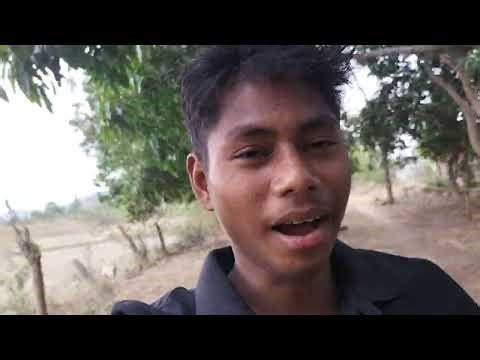 Anar chor Mini vlog 😂