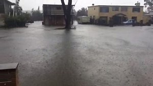 Flooding on Jacobs Drive Sussex Inlet. Jessica Dietrich reports that the area received 400ml of rain before 6pm last night. MORE VIDEO: http://yhoo.it/1i0bdOy Story on 7 News at 6pm with Mark Ferguson. Live stream: http://bit.ly/7NewsLiveStream #NSWstorm #7News | 7NEWS Sydney