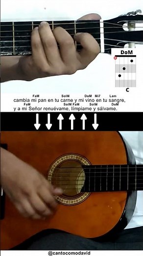 Esto que te doy - Letra y acordes(Tutorial Guitarra) #14 #acordes #Short #cover #guitar