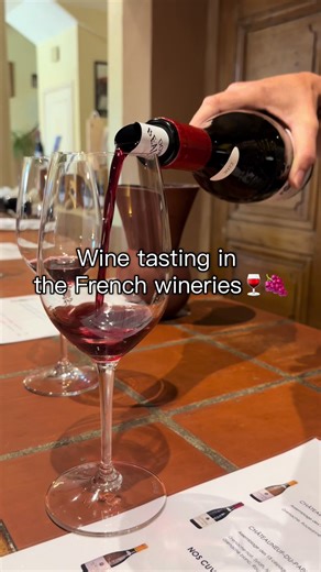 Experience the Charm of Rhône Valley Wine Tasting