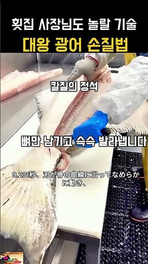 전문가만 아는 대왕 광어 필렛팅 노하우 #fishing #skill #viral
