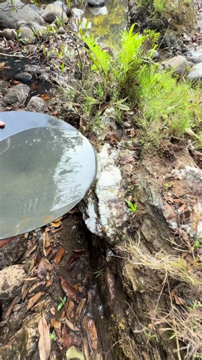 discovery of a large quartz crystal embedded in bedrock containing rusty yellow material