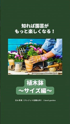 【豆知識】知れば園芸がもっと楽しくなる！ 植木鉢〜サイズ編〜 #shorts #園芸 #植木鉢