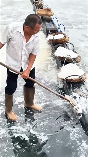 Sun-drying sea salt: Collecting natural salt crystals formed by the evaporation of seawater