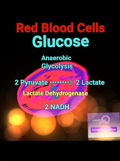 Glucose Utilization in Glycolysis and Pathways