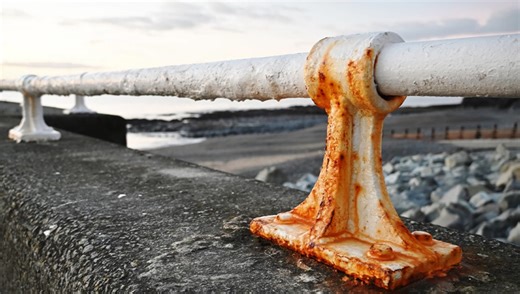 Is This Affordable Lens All Nikon Shooters Need?