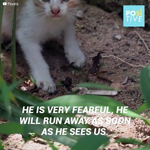 314K views · 10K reactions | Max and Quackers are great friends....