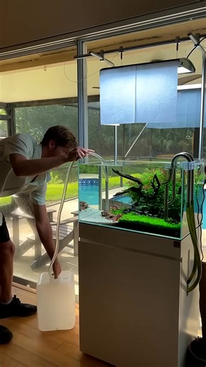 4.7K views · 35 reactions | This is how I start the siphon  #water #plants #fish #hobby #aquarium #reels #091 | Aquatic Wonders Hub | Facebook