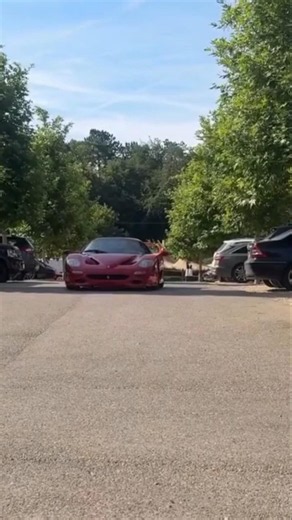 Best Ferraris ever F40-F50 🤩#ferrari #f50 #f40 #ferrarilife #cars #oldcars #classiccars #italiancars