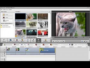 14 DVD меню в AVS Video Editor