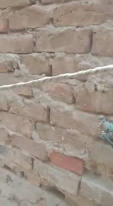 1.7K views · 27 reactions | Asalam walikum bhaiyo aur DOSto ek bachi k shadi ha jis me total 10 din reh gye ha ap Sab se request ha k Sab tawan kare us bacchi k shadi k liya Allah pak apko buht dege jazz ka Allah  | Arif hayat | Facebook