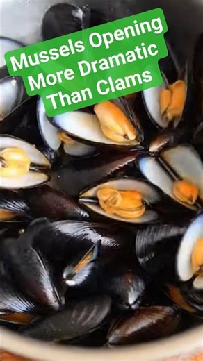 Mussels Opening - More Dramatic Than Clams!#Mussels #Seafood #CookingScience #FrenchCuisine