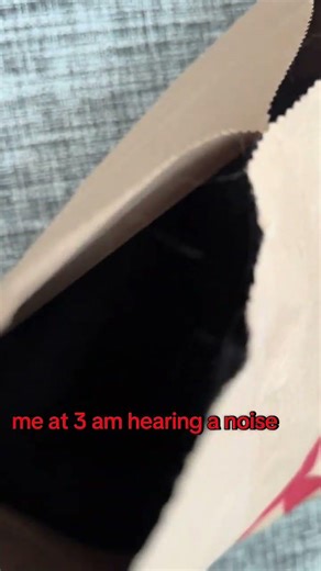 He said ‘not my department #cat #kitty #kitten #funnycats @afterdark.alaska