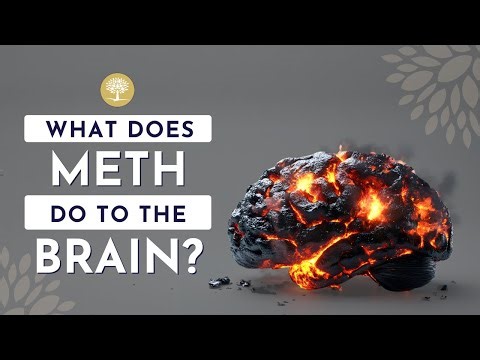 What Does Meth Do To The Brain #drugrehab #addictiontreatment #recoveryjourney