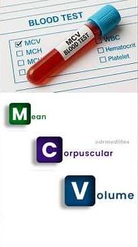 MCV |Mean Corpuscular Volume | MCV blood test #mcv #bloodtest