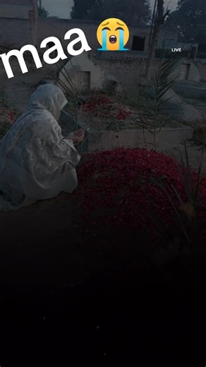 Exploring the Meaning of 'Maa' in Cultural Contexts