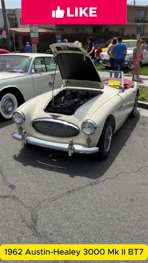1962 Austin-Healey 3000 Mk II BT7 | Faith Longoria