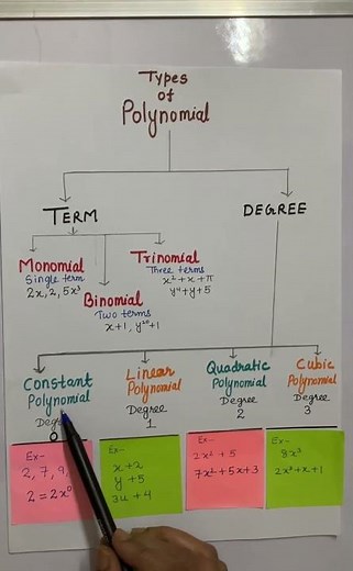 Types of polynomials 🧮