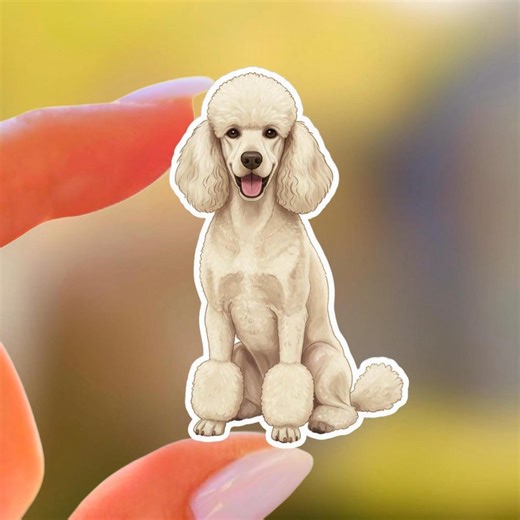 Standard Poodle Sticker – Kawaii Puppy Vinyl Decal, Matte Waterproof for Laptop & Dog Lover Gift - Etsy