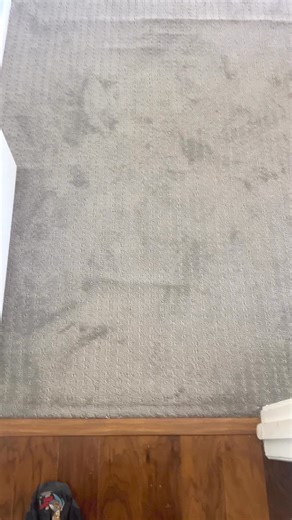 21K views · 331 reactions | Back to the carpet guy | The Carpet Repair Guys | Facebook