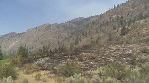 Nk’Mip wildfire near Osoyoos latest