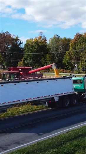 Corn harvest continues 🌽 #maranathaacres #harvest2025 #corn #farming #farmlife | Maranatha Acres