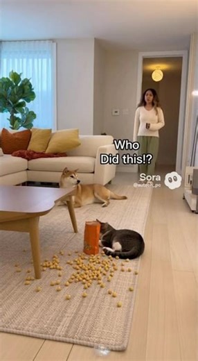 The Ultimate Cat Betrayal.mp4