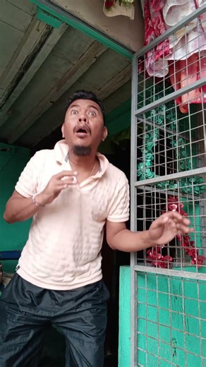 The fastest turtle 🐢 #flyingturtle #viral #amazinganimals #humormemes