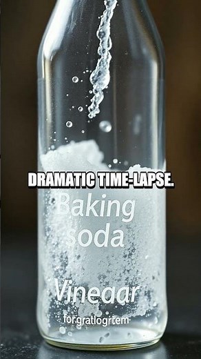 Everyday Home Lab Fresh Set of Experiments