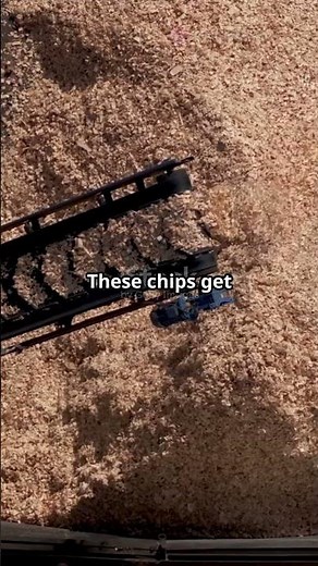 How Paper Is Made from Trees