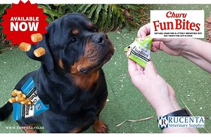 Dogs across SA are enjoying their CHURU treats. Pick up some INABA CHURU FUN BITES at your pet or online store before they sell out again!🐶💙🐶 #churu #funbites #inaba #rucentaveterinarysupplies #dogs #dogtreats #doghealth #dogoftheday #productoftheday | Rucenta
