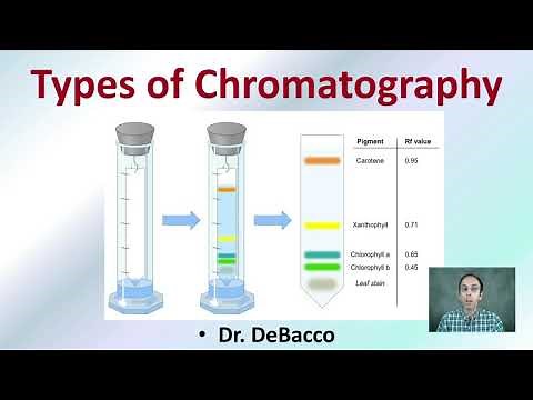 Types of Chromatography