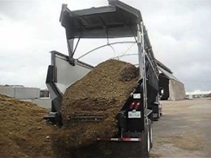 AULTIMATE BELT TRAILER