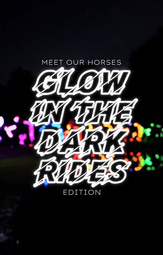 111 reactions · 45 shares | Meet our horses for the Glow in the Dark Rides. 朗 Only a FEW spaces left in August!!  Get your seat in the glowing saddle and BOOK NOW at https://www.riseandrideranch.com/glow-in-the-dark-rides  For ages 8+ at Rise and Ride Ranch - Allegan, Michigan | Rise & Ride Ranch | Facebook