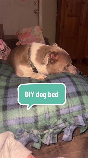 DIY Dog Bed: Easy Step-by-Step Guide for Pet Lovers