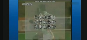 2002年5月CCTV5广告
