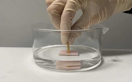 具有电可编程功能的高性能粘附水凝胶_PAA-Fe-Li与PVA水凝胶和猪皮组织的水下粘附