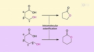 Video: Carboxylic Acids to Esters: Acid-Catalyzed (Fischer) Esterification Overview