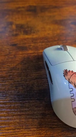 Jaxight on Instagram: "I made Maya Higa a custom gaming mouse! #gaming #tech #animals"