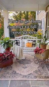 Heucheras, or coral bells, are an excellent choice for adding vibrant fall color to your garden. Their foliage comes in a stunning range of colors, including deep purples, reds, bright greens, and silvers, which lasts throughout the growing season. These versatile plants thrive in sun-shade, making them suitable for various garden spots from borders to containers. I love planting heucheras this time of year to bring that rich fall color to my porch planters. As temperatures cool, I move them to 