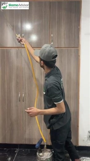 Professional Termite Control Services in Islamabad & Lahore | Home Advisor #termitescontrol #termite