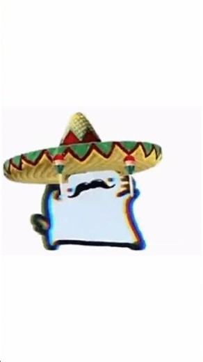 Mexican cat #memes #funny