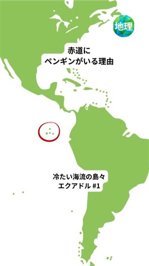 赤道にペンギンがいる理由｜ガラパゴス諸島