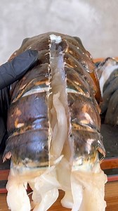 574K views · 7.7K reactions | The best Lobster recipe | Grillnation | Facebook