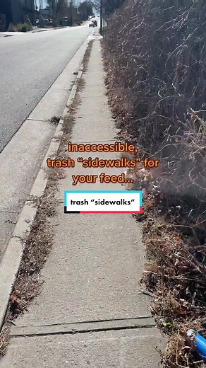 Pedestrian Dignity on TikTok