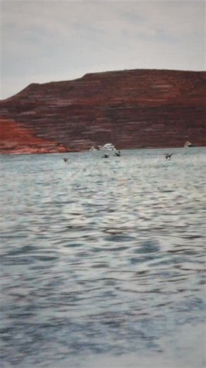 WIN! DIVE! REPEAT! 🎉 FOURTH ELEMENT COMPETITION - Win all you need for the new dive season! 🏆 The NEW Xenos ARC wetsuit 🏆 Seeker mask, Snorkel & Rec Fins 🏆 PADI e-learning course Runner-up wins a Seeker mask and PADI e-learning course. Your 2026 dive season starts here! Enter now 👉️ https://fourthelement.com/xenos-arc-competition | Fourth Element